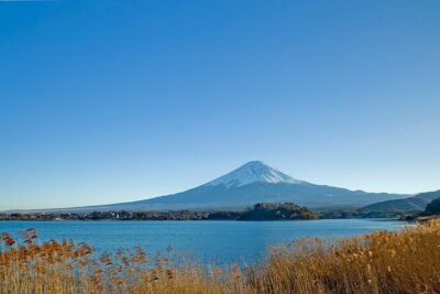Mt Fuji Private Day Trip from Tokyo with English speaking driver