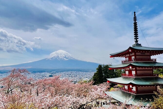 Mt Fuji Private Day Trip from Tokyo with English speaking driver - The Panoramic Ropeway and its extra cost