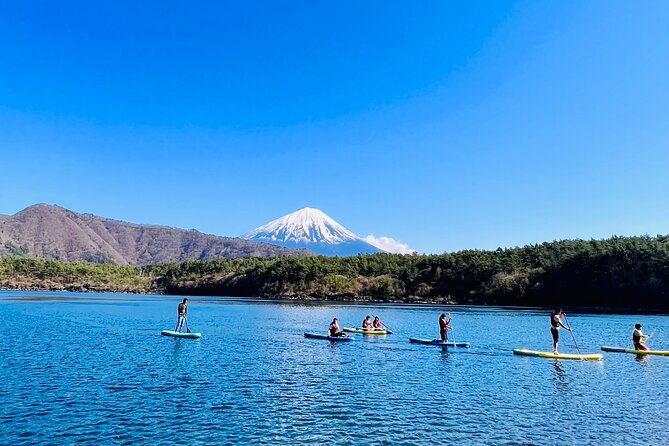 Mt Fuji Private Day Trip from Tokyo with English speaking driver - Fifth Station: impressive, but never guaranteed