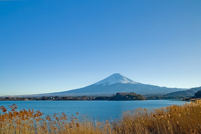 Mt Fuji Private Day Trip from Tokyo with English speaking driver - Chureito Pagoda and the first Fuji view