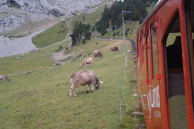Mt. Pilatus Golden Roundtrip Small Group Day Trip from Lucerne - Who will enjoy this Mount Pilatus trip?