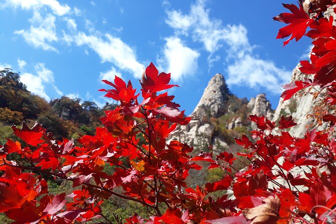 Mt. Seorak+Nami Island+Garden of Morning Calm Day Trip from Seoul - The long ride from Seoul