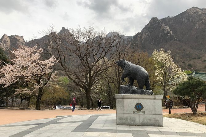 Mt. Seorak+Nami Island+Garden of Morning Calm Day Trip from Seoul - Nami Island by ferry