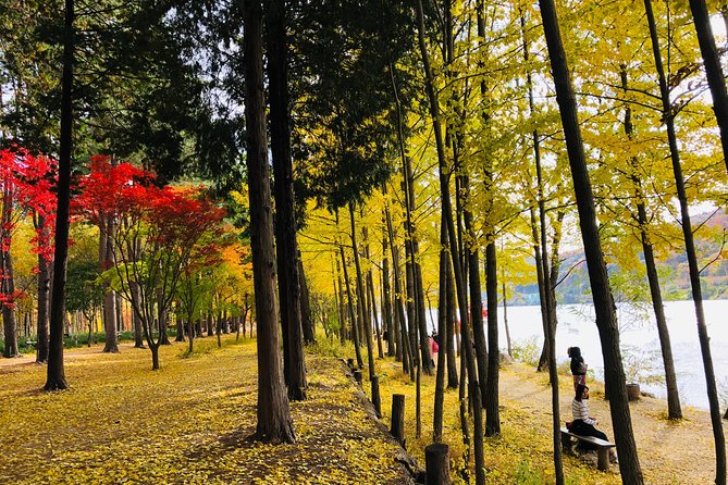 Mt. Seorak+Nami Island+Garden of Morning Calm Day Trip from Seoul - The Garden of Morning Calm