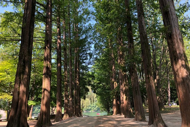 Mt. Seorak+Nami Island+Garden of Morning Calm Day Trip from Seoul - Timing, meals, and the pace of the day