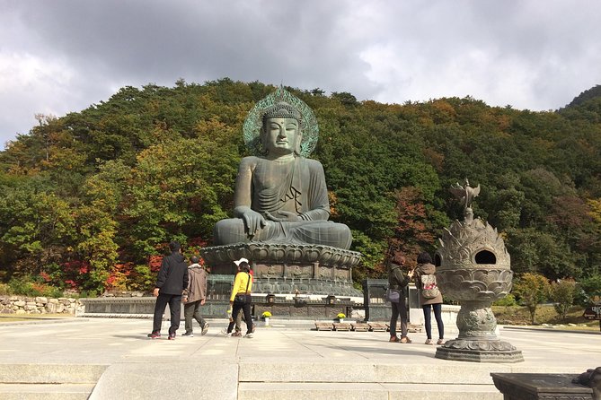 Mt. Seorak+Nami Island+Garden of Morning Calm Day Trip from Seoul - Who gets the best value from this tour