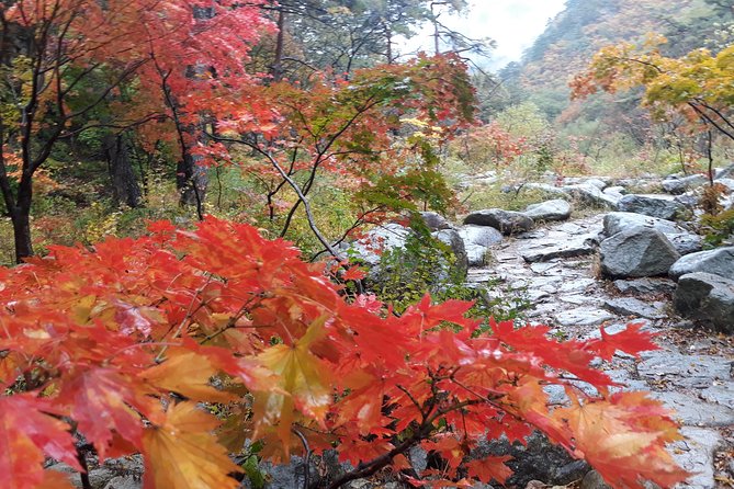 Mt. Seorak+Nami Island+Garden of Morning Calm Day Trip from Seoul - Practical booking advice