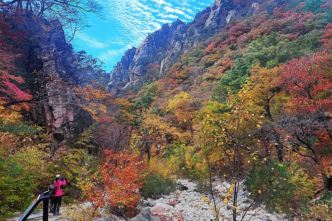 Mt. Seorak+Nami Island+Garden of Morning Calm Day Trip from Seoul - Seoraksan National Park and Shinheungsa Temple