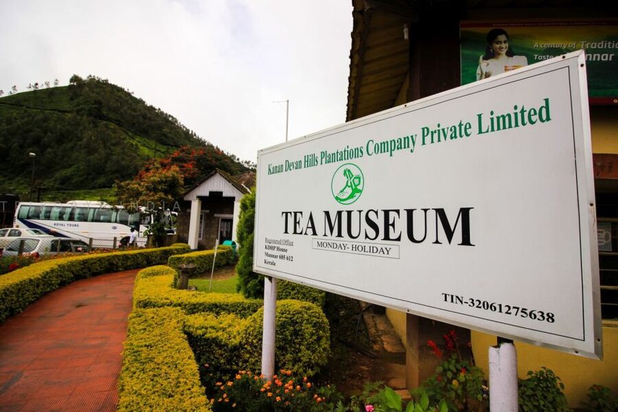 Munnar Private Day Trip - Who should book this Munnar day trip?
