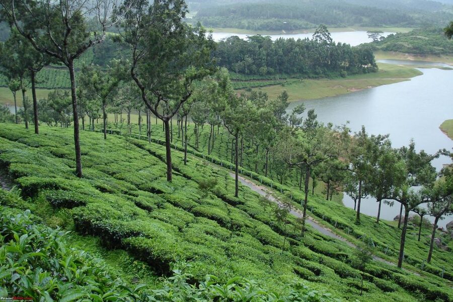 Munnar Private Day Trip - Weather, comfort, and what to carry
