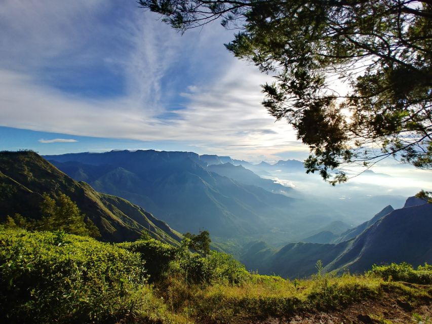 Munnar Private Day Trip - Leaving Kochi before the roads fill up