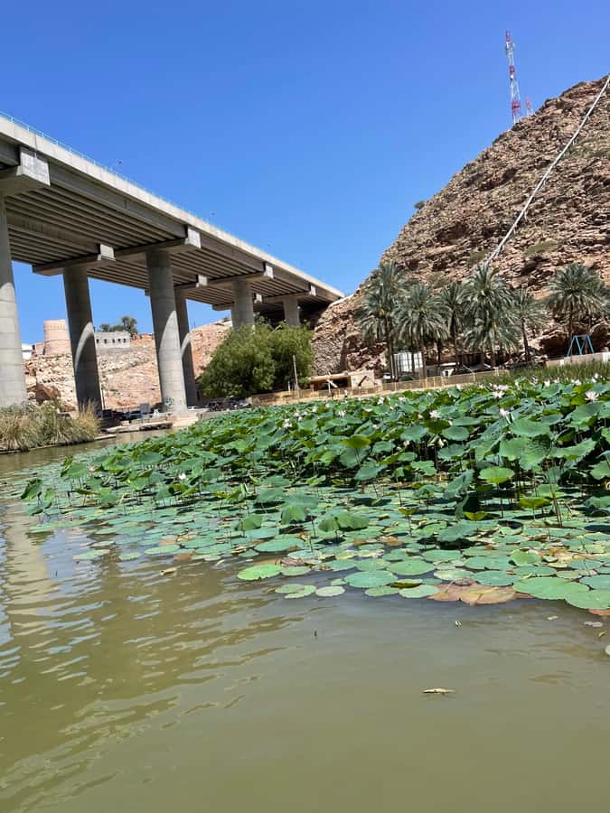 Muscat: Wadi Shab, Romantic Cave and Sinkhole Full-day Trip - Guides are a major part of the value