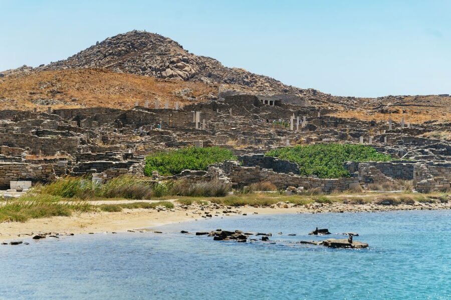 Mykonos Town: Archaeological Site of Delos Guided Day Trip - House of Dionysus and the ancient city streets