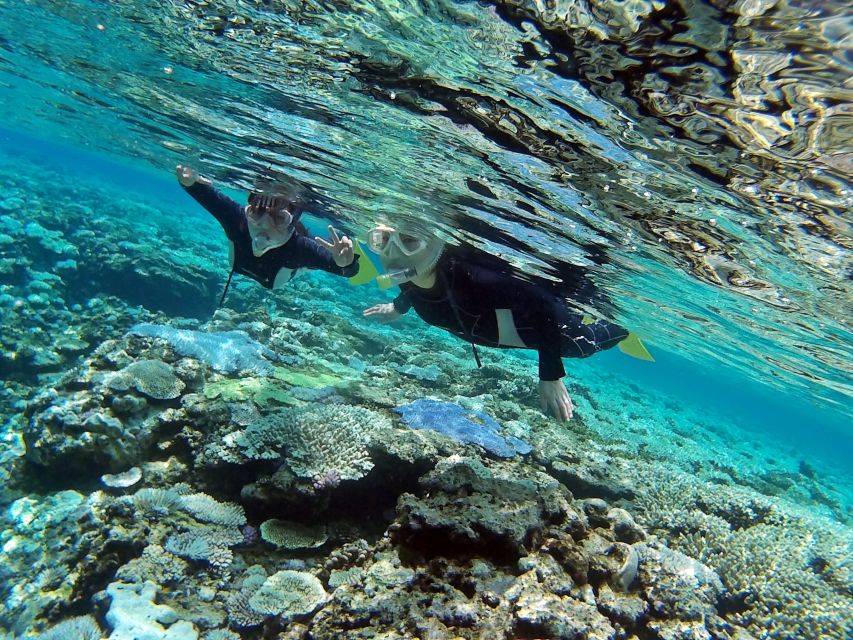 Naha, Okinawa: Keramas Island Snorkeling Day Trip with Lunch - Should you book the Kerama snorkeling trip?