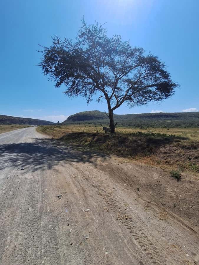 Nairobi: Lake Naivasha & Hell’s Gate National Park Day Trip - Hell’s Gate National Park on two wheels