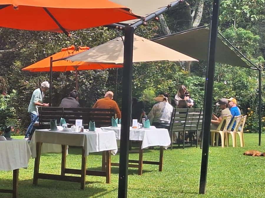 Nairobi: Tea Farm Day Trip with Lunch at kiambethu - Garden time, tea, and the final bonfire