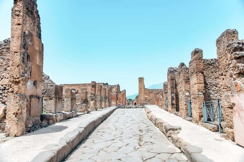 Naples: Pompeii and Vesuvius Day Trip - Who will enjoy this outing most?