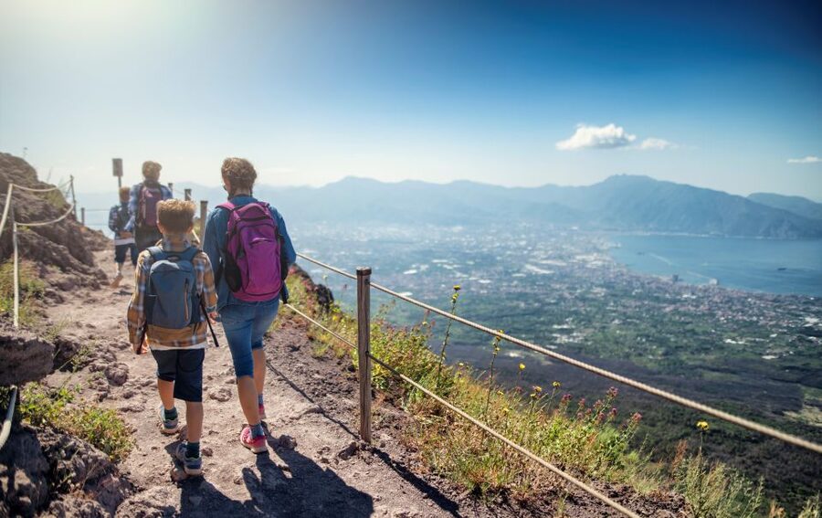 Naples: Pompeii & Mt. Vesuvius Day Trip with Tickets & Lunch - Key points to know before booking