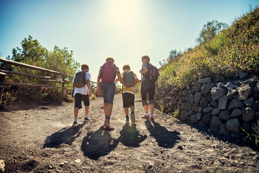 Naples: Pompeii & Mt. Vesuvius Day Trip with Tickets & Lunch - Who should book this tour?