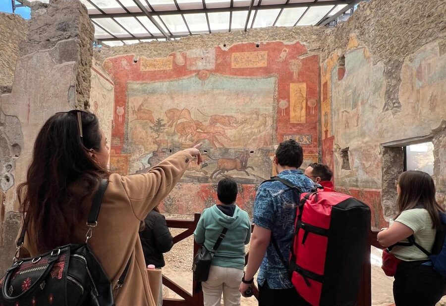 Naples: Pompeii & Mt. Vesuvius Day Trip with Tickets & Lunch - Starting from Naples and finding your pickup