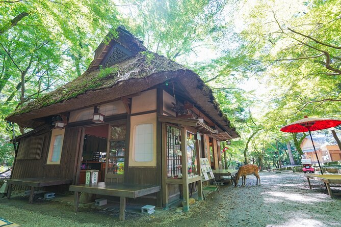 Nara Half Day Trip Walking Tour (Private Option Available) - Nara Park and the bowing deer