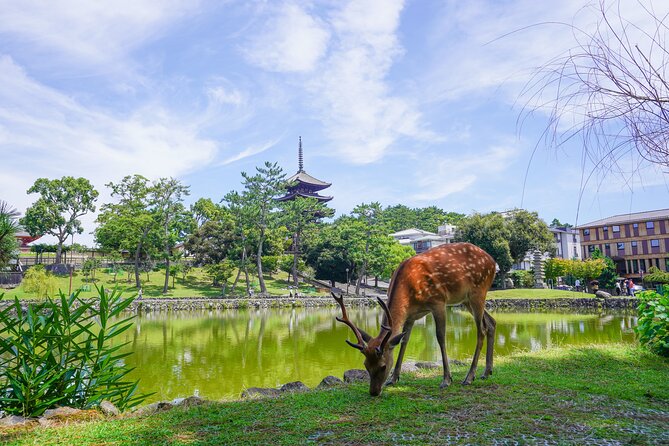 Nara Half Day Trip Walking Tour (Private Option Available) - Todaiji Temple and the Great Buddha