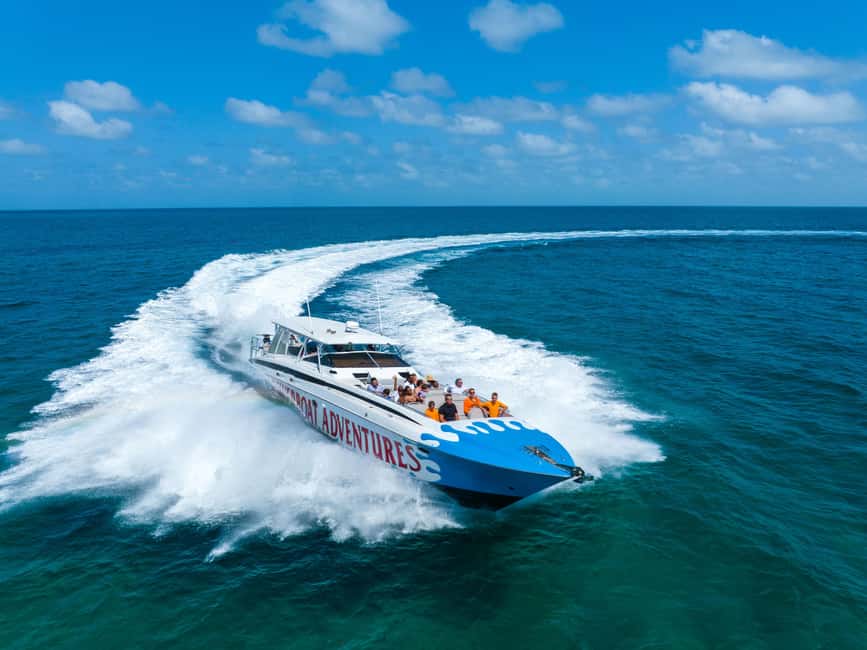 Nassau: Exuma Powerboat Day Trip - Meeting the pigs, iguanas, rays, and sharks