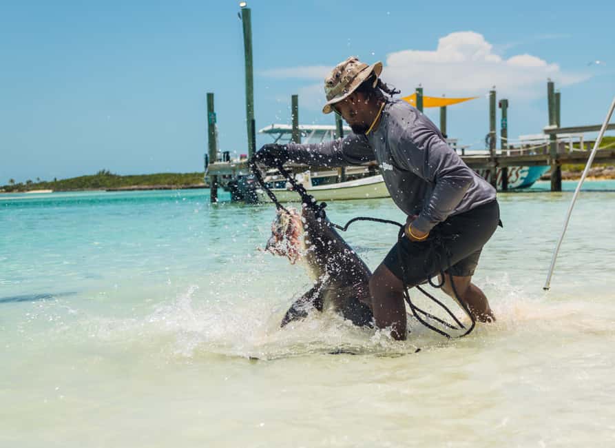 Nassau: Exuma Powerboat Day Trip - A private island day at Ship Channel Cay