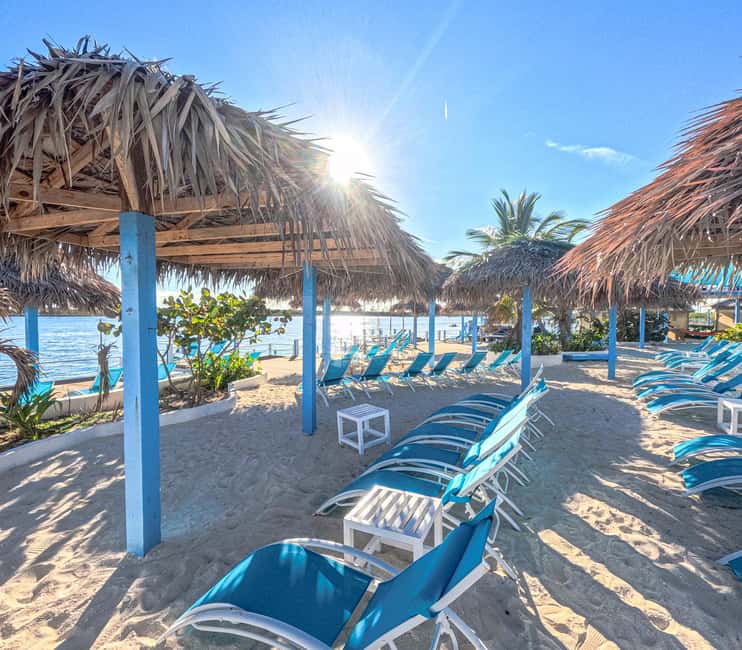 Nassau: Sun Cay Day Trip, Snorkel, Iguana Encounter, & Lunch - Bahamian lunch: simple food with some strong points