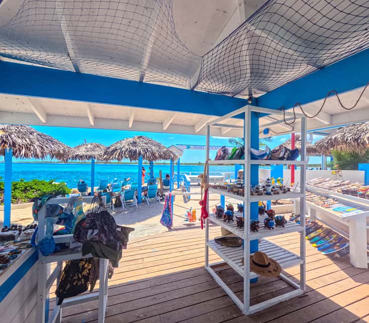 Nassau: Sun Cay Day Trip, Snorkel, Iguana Encounter, & Lunch - Who will enjoy this half-day outing