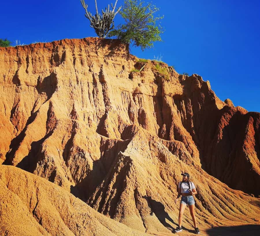 Neiva: Guided Day Trip to the Tatacoa Desert with Lunch - Tatacoa Desert tour highlights