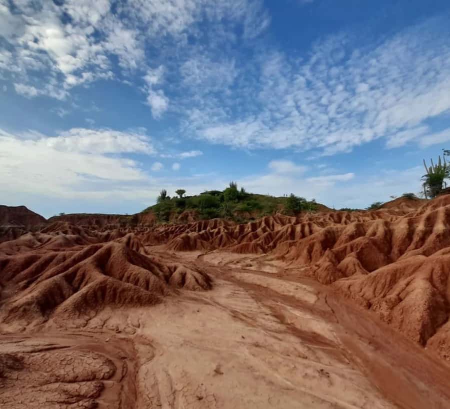 Neiva: Guided Day Trip to the Tatacoa Desert with Lunch - Why this day trip works so well