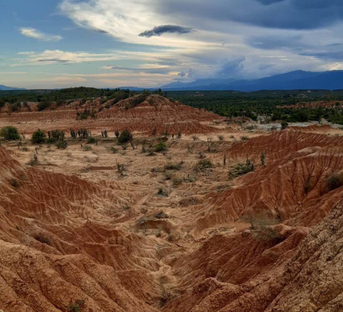 Neiva: Guided Day Trip to the Tatacoa Desert with Lunch - Stargazing after dark