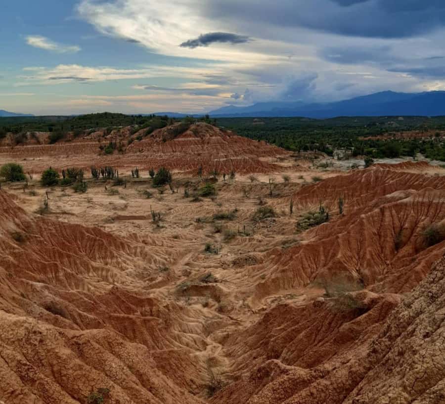 Neiva: Guided Day Trip to the Tatacoa Desert with Lunch - From Neiva to Villavieja