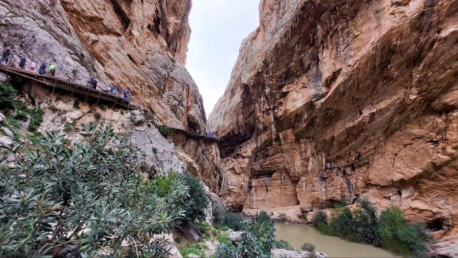 Nerja, Torrox, or Torre del Mar: Caminito del Rey Day Trip - Is $81 a fair price?