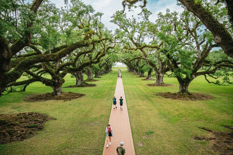 New Orleans: Oak Alley Plantation and Swamp Cruise Day Trip - Why this combination works so well