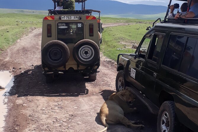 Ngorongoro Crater Day Trip - The safari vehicle and comfort details