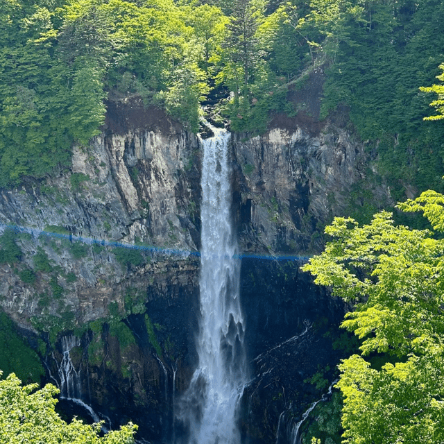 Nikko Heritage & Nature Day Trip from Tokyo - The $391 price and who gets good value