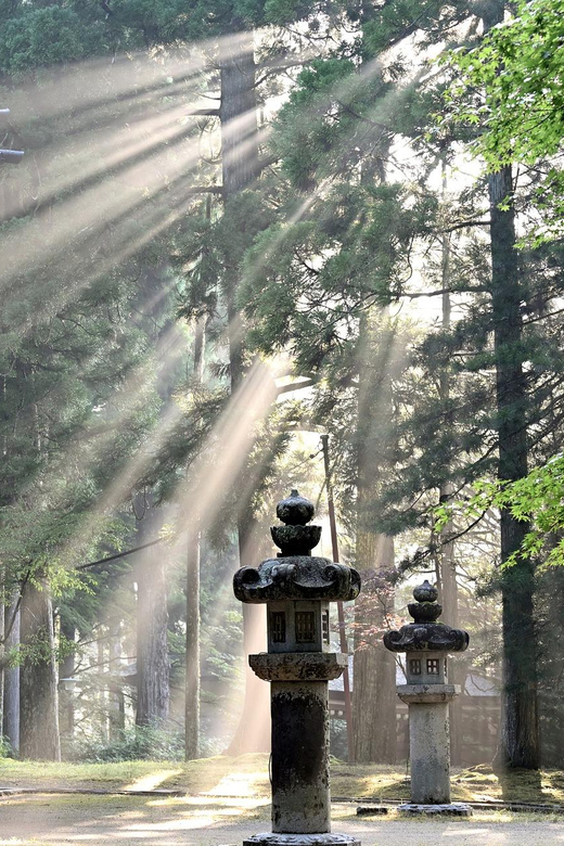 Nikko Heritage & Nature Day Trip from Tokyo - Kegon Falls and the force of the water
