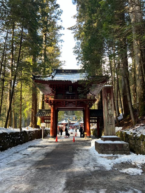 Nikko Heritage & Nature Day Trip from Tokyo - What the private driver adds