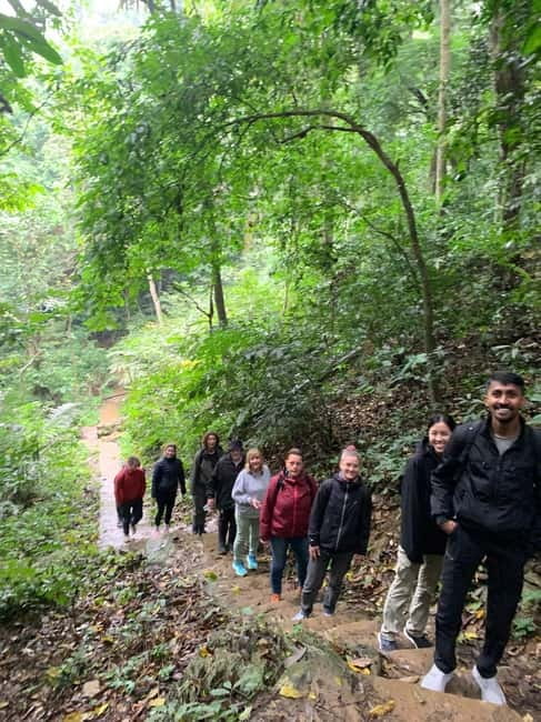 Ninh Binh: Cuc Phuong Jungle Hike & Wildlife Day Trip - Lunch beneath the forest canopy