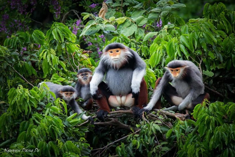Ninh Binh: Cuc Phuong Jungle Hike & Wildlife Day Trip - The drive from Ninh Binh, Tam Coc, or Trang An