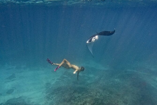 Nusa Penida day trip: boat, 4 snorkeling, Manta rays & Land tour - Sanur start: meet early and leave by fast boat