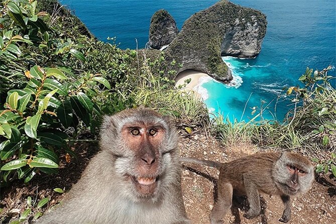 Nusa Penida day trip: boat, 4 snorkeling, Manta rays & Land tour - Who should book this trip