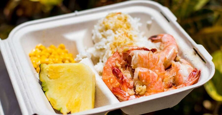 Oahu: Circle Island Day Trip with Shrimp Plate Lunch - Why this Circle Island tour works well