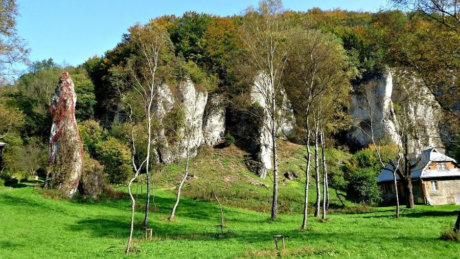 Ojcow National Park: Full-Day Trip from Krakow - Hiking through the woods to Krakow Gate