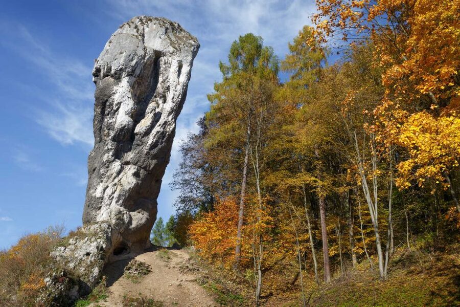 Ojcow National Park: Full-Day Trip from Krakow - Pieskowa Skala and a well-preserved Renaissance castle