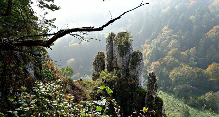 Ojcow National Park: Full-Day Trip from Krakow - Clothing, walking ability, and weather
