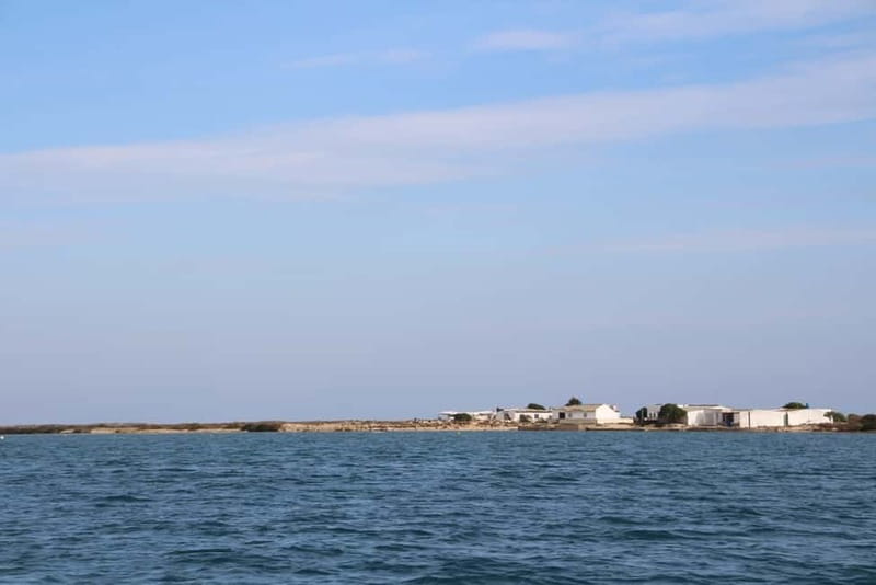 Olhão: Ria Formosa 3 Islands Guided Day Trip by Boat - Who should book this Olhão boat trip?