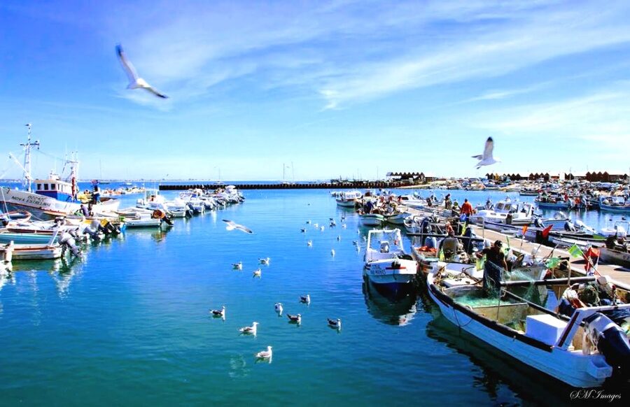Olhão: Ria Formosa 3 Islands Guided Day Trip by Boat - Farol: a final island pause for photographs